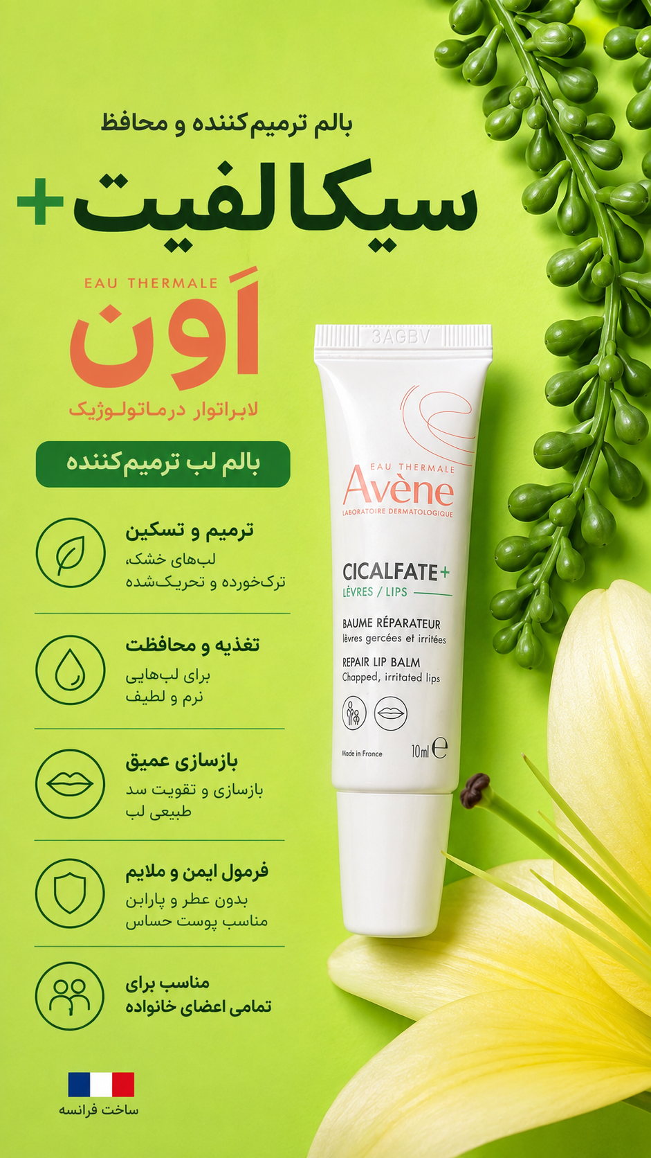 سیکالفیت اون(بالم لب)